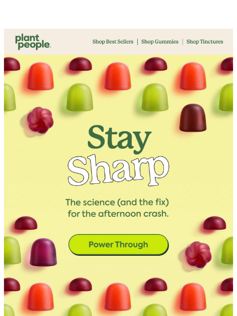 plantpeople newsletter: The Neuroscience Behind The 2pm Crash 🧠