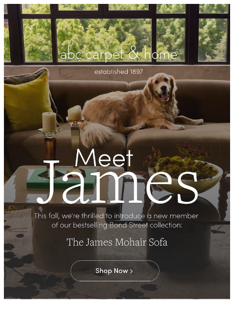 abchome newsletter: Layers of Fall with The James Mohair Sofa