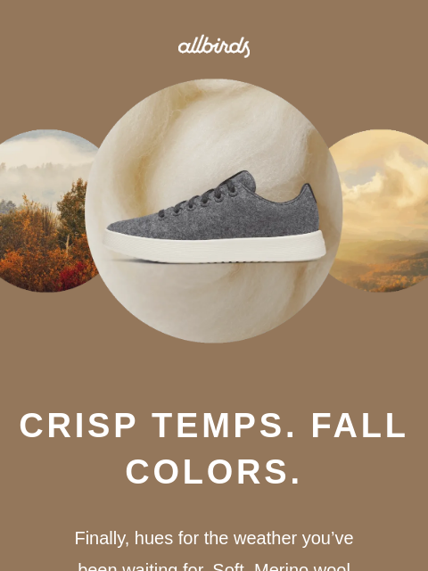 allbirds newsletter: This Palette Plays Nice With Everything
