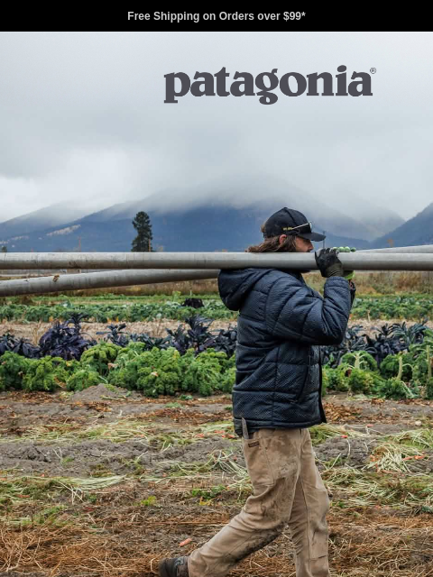 patagonia newsletter: Fall Workwear for any weather