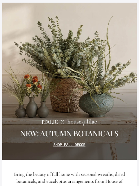 italic newsletter: NEW: Autumn Botanicals