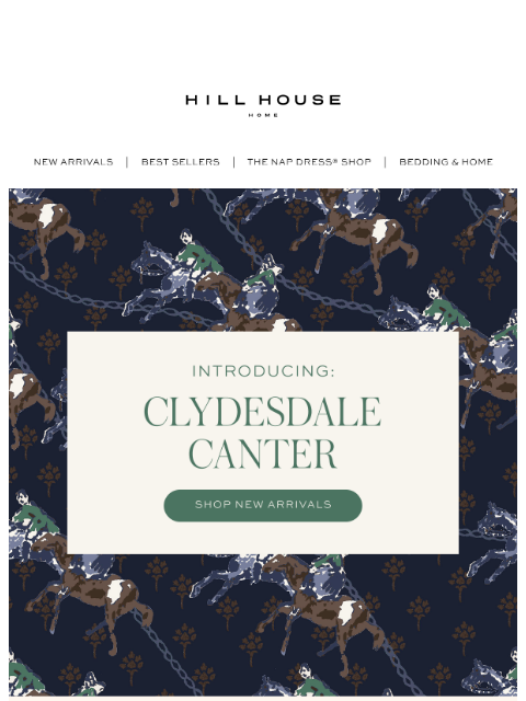 hillhousehome newsletter: In Our Horse Girl Era 🐎