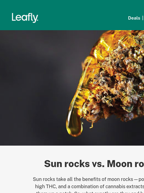 Plus, strains for the upcoming Supermoon‌ ‌ ‌ ‌ ‌ ‌ ‌ ‌ ‌ ‌ ‌ ‌ ‌ ‌ ‌ ‌ ‌ ‌ ‌ ‌ ‌ ‌ ‌ ‌ ‌ ‌ ‌ ‌ ‌ ‌ ‌ ‌ ‌ ‌ ‌ ‌ ‌ ‌ ‌ ‌ ‌ ‌ ‌ ‌ ‌ ‌ ‌ ‌ ‌ ‌ ‌ ‌ ‌ ‌ ‌ ‌ ‌ ‌ ‌ ‌ ‌ ‌ ‌ ‌ ‌ ‌ ‌ ‌ ‌ ‌ ‌ ‌ ‌ ‌ ‌ ‌ ‌ ‌ ‌ ‌ ‌