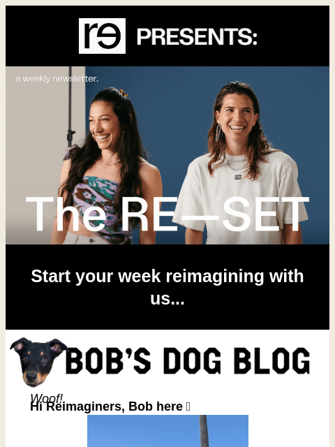 re-website newsletter: Bob's Dog Blog: A Puppy Postcard from Camp