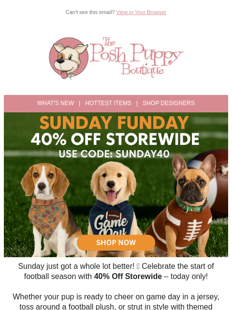 poshpuppyboutique newsletter: 🏈 Sunday Funday! 40% Off Storewide – Touchdown De...