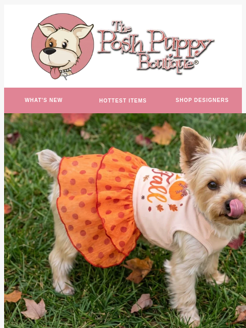 poshpuppyboutique newsletter: 👀 The Fall Drop You’ve Been Waiting For