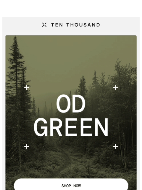 tenthousand newsletter: Back For Fall: OD Green