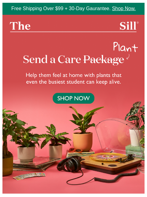 thesill newsletter: The new college care package