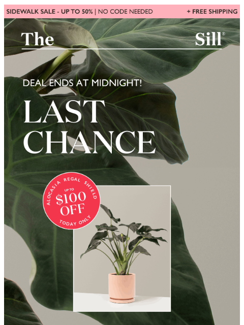 + more large plant deals! ͏ ͏ ͏ ͏ ͏ ͏ ͏ ͏ ͏ ͏ ͏ ͏ ͏ ͏ ͏ ͏ ͏ ͏ ͏ ͏ ͏ ͏ ͏ ͏ ͏ ͏ ͏ ͏ ͏ ͏ ͏ ͏ ͏ ͏ ͏ ͏ ͏ ͏ ͏ ͏ ͏ ͏ ͏ ͏ ͏ ͏ ͏ ͏ ͏ ͏ ͏ ͏ ͏ ͏ ͏ ͏ ͏ ͏ ͏ ͏ ͏ ͏ ͏ ͏ ͏ ͏ ͏ ͏ ͏ ͏ ͏ ͏ ͏ ͏ ͏ ͏ ͏ ͏ ͏ ͏ ͏ ͏ ͏ ͏ ͏ ͏ ͏ ͏