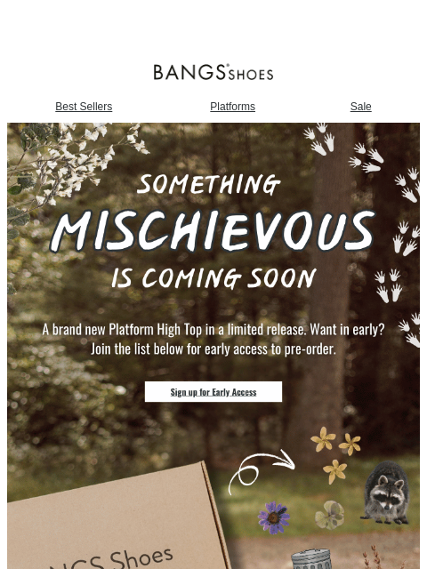 bangsshoes newsletter: Something Mischievous is Coming... π¦