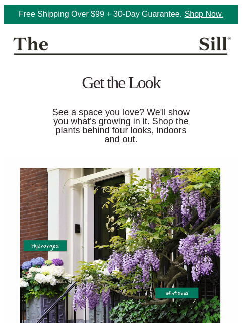 thesill newsletter: 4 looks worth stealing right now