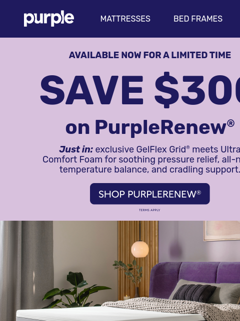 Save $300 on PurpleRenew for a limited time. ͏ ‌ ͏ ‌ ͏ ‌ ͏ ‌ ͏ ‌ ͏ ‌ ͏ ‌ ͏ ‌ ͏ ‌ ͏ ‌ ͏ ‌ ͏ ‌ ͏ ‌ ͏ ‌ ͏ ‌ ͏ ‌ ͏ ‌ ͏ ‌ ͏ ‌ ͏ ‌ ͏ ‌ ͏ ‌ ͏ ‌ ͏ ‌ ͏ ‌ ͏ ‌ ͏ ‌ ͏ ‌ ͏ ‌ ͏ ‌ ͏ ‌ ͏ ‌ ͏ ‌ ͏ ‌ ͏ ‌ ͏ ‌ ͏ ‌ ͏ ‌ ͏ ‌