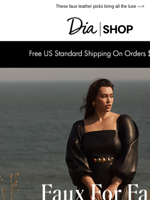 dia newsletter: Fall's Sleekest Trend 👀