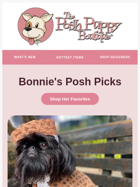 poshpuppyboutique newsletter: Bonnie’s Posh Picks: Don’t Miss Her Favorites