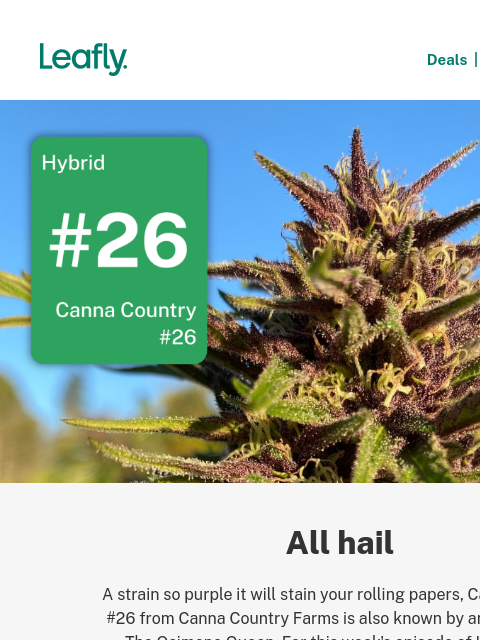 leafly newsletter: Humboldt's Ocimene Queen 👑
