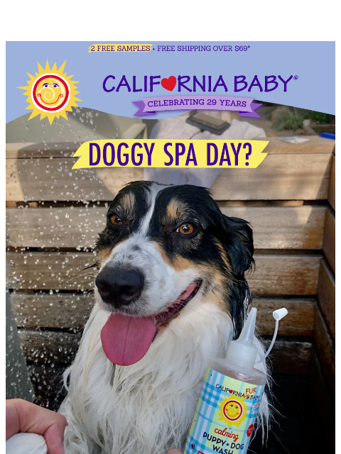 20% Off - Your Furry Friend Deserves A Spa Day! ͏ ͏ ͏ ͏ ͏ ͏ ͏ ͏ ͏ ͏ ͏ ͏ ͏ ͏ ͏ ͏ ͏ ͏ ͏ ͏ ͏ ͏ ͏ ͏ ͏ ͏ ͏ ͏ ͏ ͏ ͏ ͏ ͏ ͏ ͏ ͏ ͏ ͏ ͏ ͏ ͏ ͏ ͏ ͏ ͏ ͏ ͏ ͏ ͏ ͏ ͏ ͏ ͏ ͏ ͏ ͏ ͏ ͏ ͏ ͏ ͏ ͏ ͏ ͏ ͏ ͏ ͏ ͏ ͏ ͏ ͏ ͏ ͏ ͏ ͏ ͏ ͏