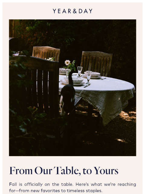 yearandday newsletter: What our team is loving for fall