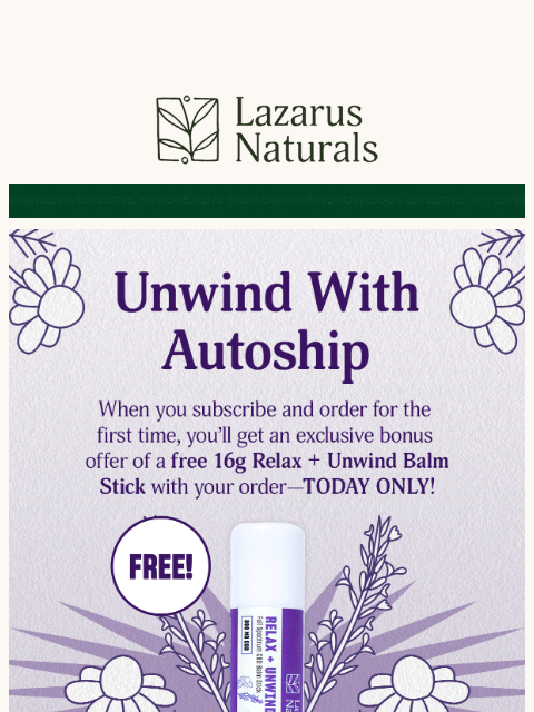 lazarusnaturals newsletter: 🤯 Relax + Unwind Balm Stick On Us with Your 1st A...