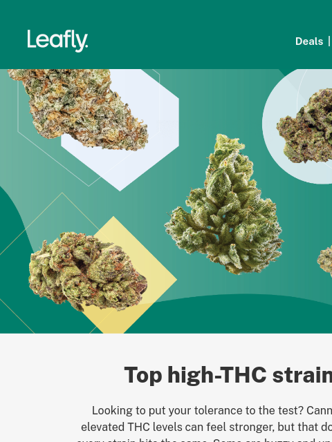 leafly newsletter: ✈️ Go higher with high-THC strains