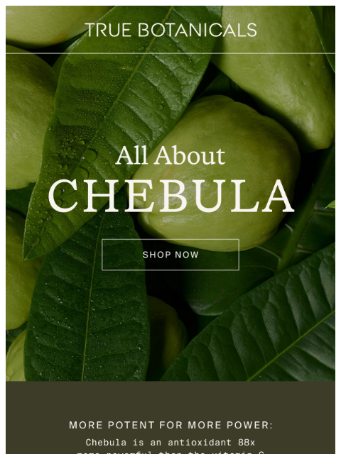 truebotanicals newsletter: Our Secret Weapon