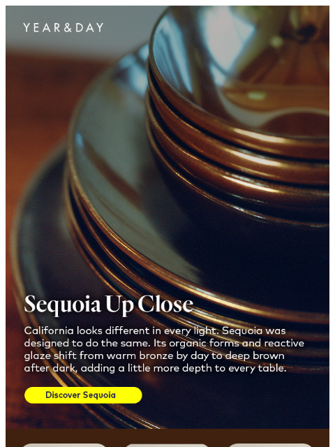 yearandday newsletter: A closer look at Sequoia