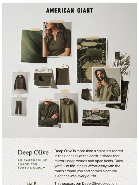 american-giant newsletter: Fall in Deep Olive