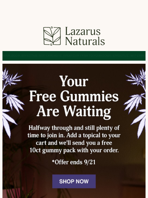 lazarusnaturals newsletter: 🌿 Don’t Miss This: Gummies On Us With Your Topica...
