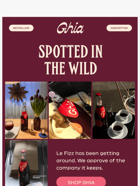 drinkghia newsletter: We See You