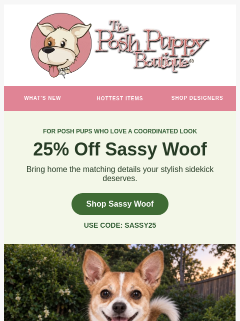 poshpuppyboutique newsletter: OPEN TO UNLOCK YOUR DEAL 🔓