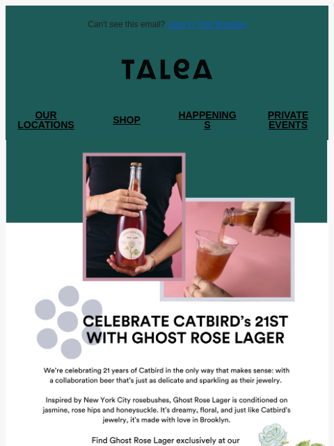 taleabeer newsletter: Coming Monday: Catbird x TALEA 🦢✨