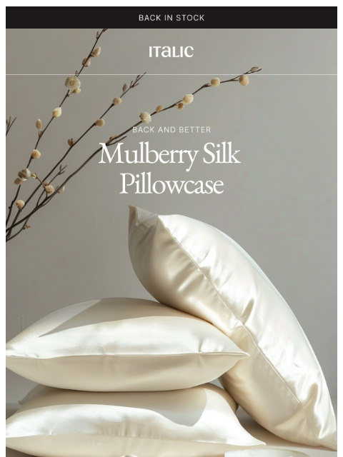 italic newsletter: Silk Pillowcases Are Back!