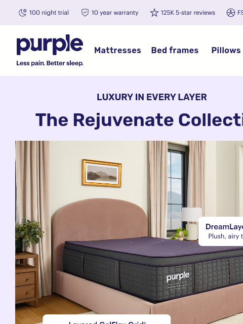 purple newsletter: This is the best sleep $ can buy