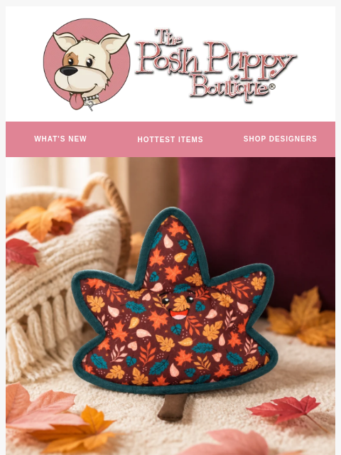 poshpuppyboutique newsletter: 25% OFF TOYS