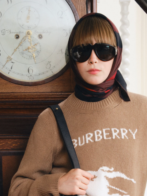 burberry newsletter: Equestrian Knight Design styles