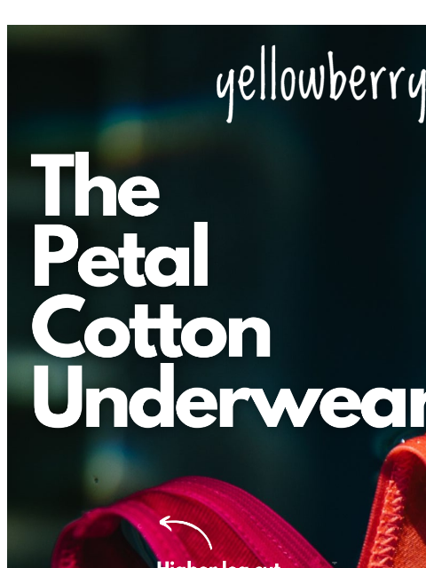 yellowberrycompany newsletter: The $15.95 Cotton Underwear