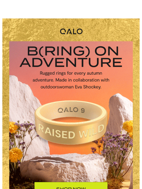 qalo newsletter: NEW πΉ NEW πΉ NEW