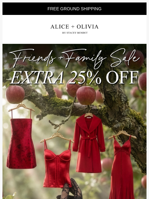 aliceandolivia newsletter: Extra 25% Off Won't Last Forever