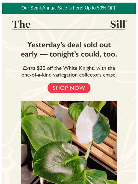 thesill newsletter: Final Hours: Stack $30 off the Semi-Annual Sale pr...