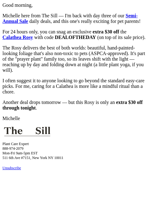 thesill newsletter: Meet Sunday’s exclusive deal