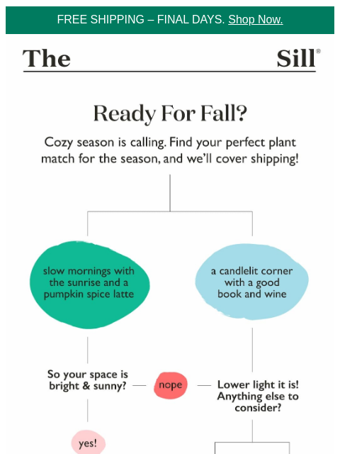 thesill newsletter: Take this before you buy another plant