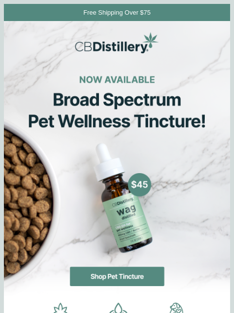 thecbdistillery newsletter: Now Available: Broad Spectrum Pet Wellness Tinctur...