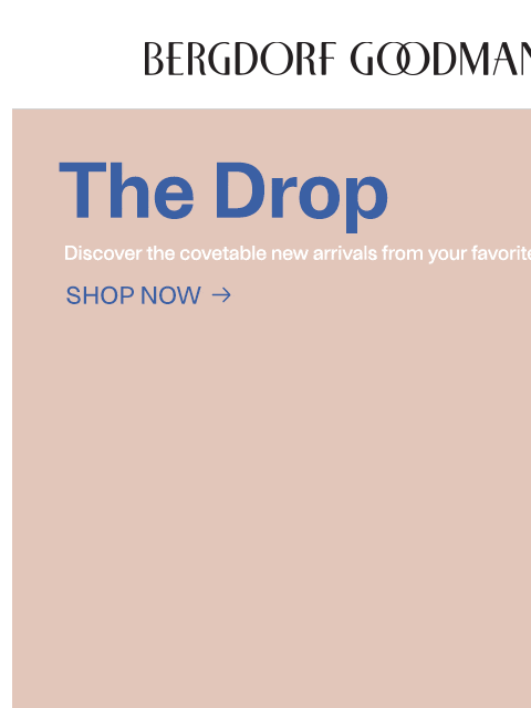 bergdorfgoodman newsletter: The Drop: New Arrivals Just Landed