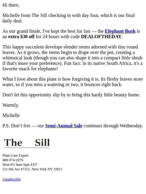 thesill newsletter: Meet today’s succulent steal