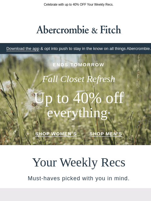 abercrombie newsletter: It's actually fall now.