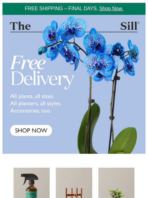 thesill newsletter: 📦, here's free delivery!