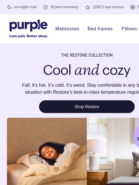 purple newsletter: The mattress for all seasons