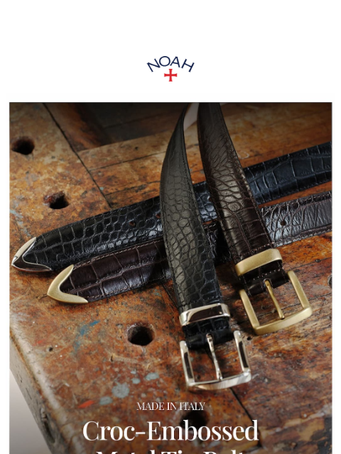 noahny newsletter: The Croc-Embossed Metal Tip Belt