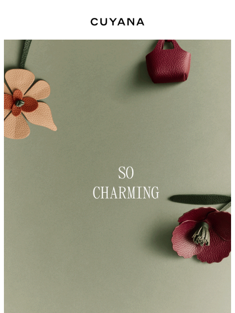 cuyana newsletter: New Fall Charms