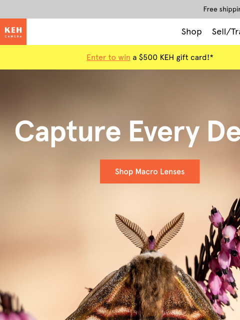 keh newsletter: Zoom in on autumn with macro lenses 🍂
