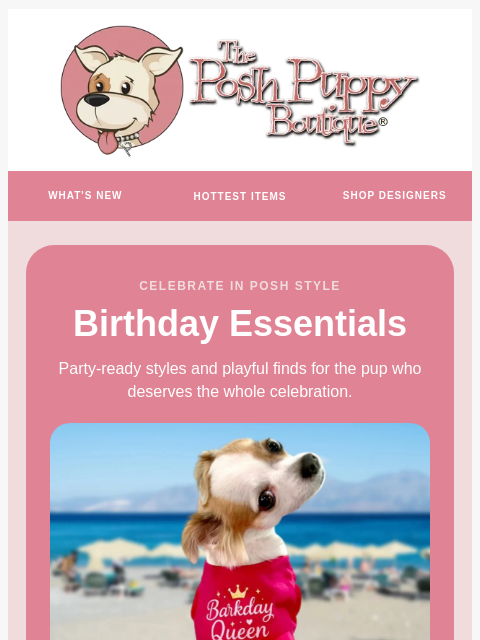 poshpuppyboutique newsletter: It’s Almost Their Birthday! 🎉